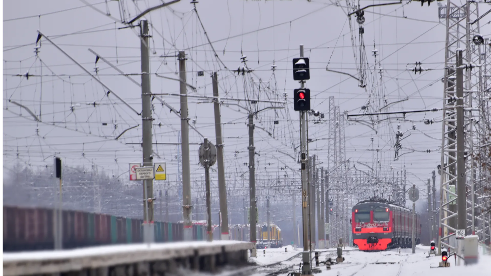 Фото: Оксана Лапшина