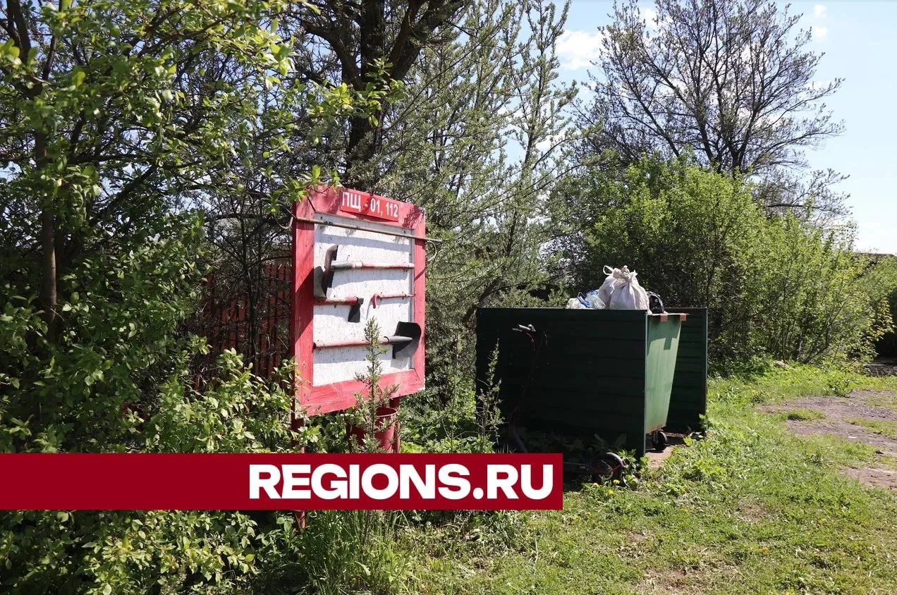 Фото: Василий Тремасов