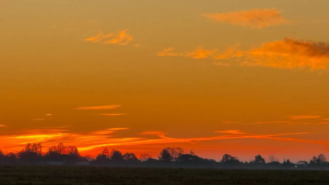 Фото: предоставлено Мариной Алифановой
