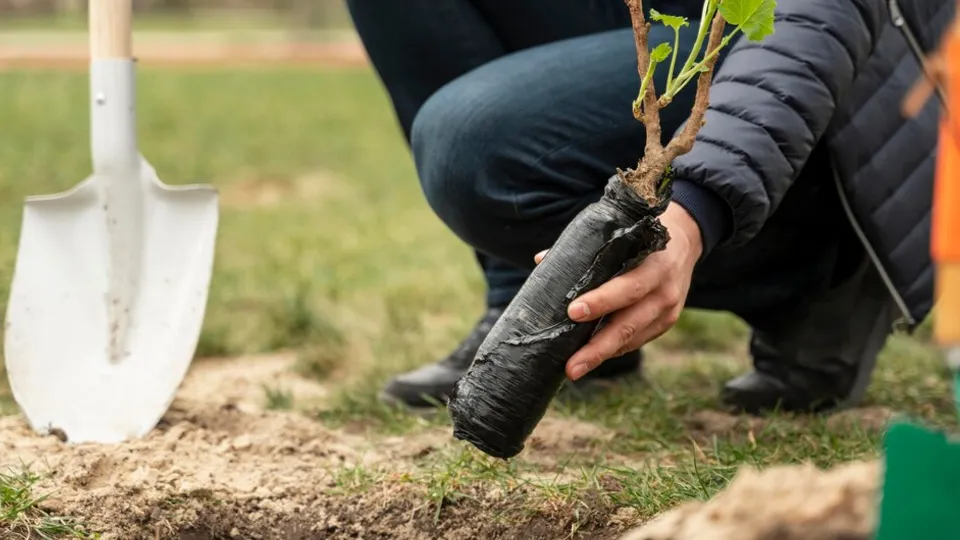 Фото: freepik.com