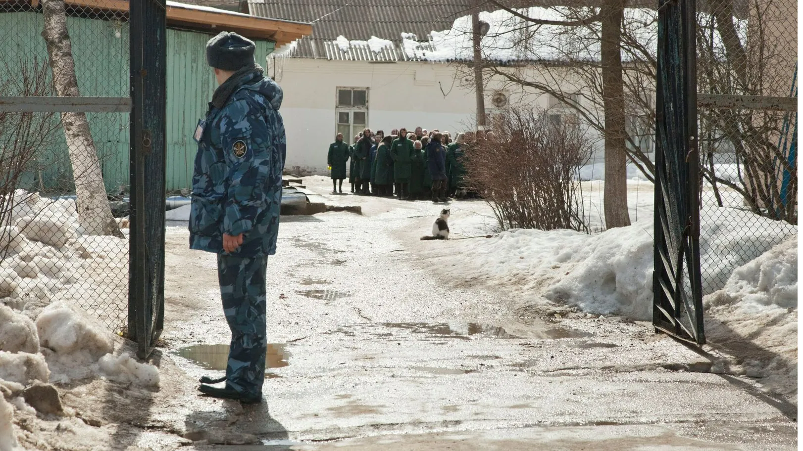 Фото: медиасток.рф