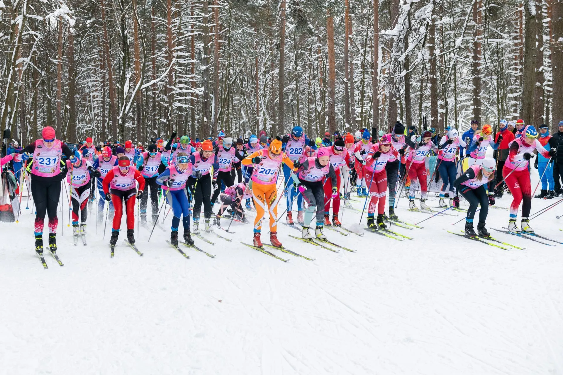 Фото: Владимир Думчев
