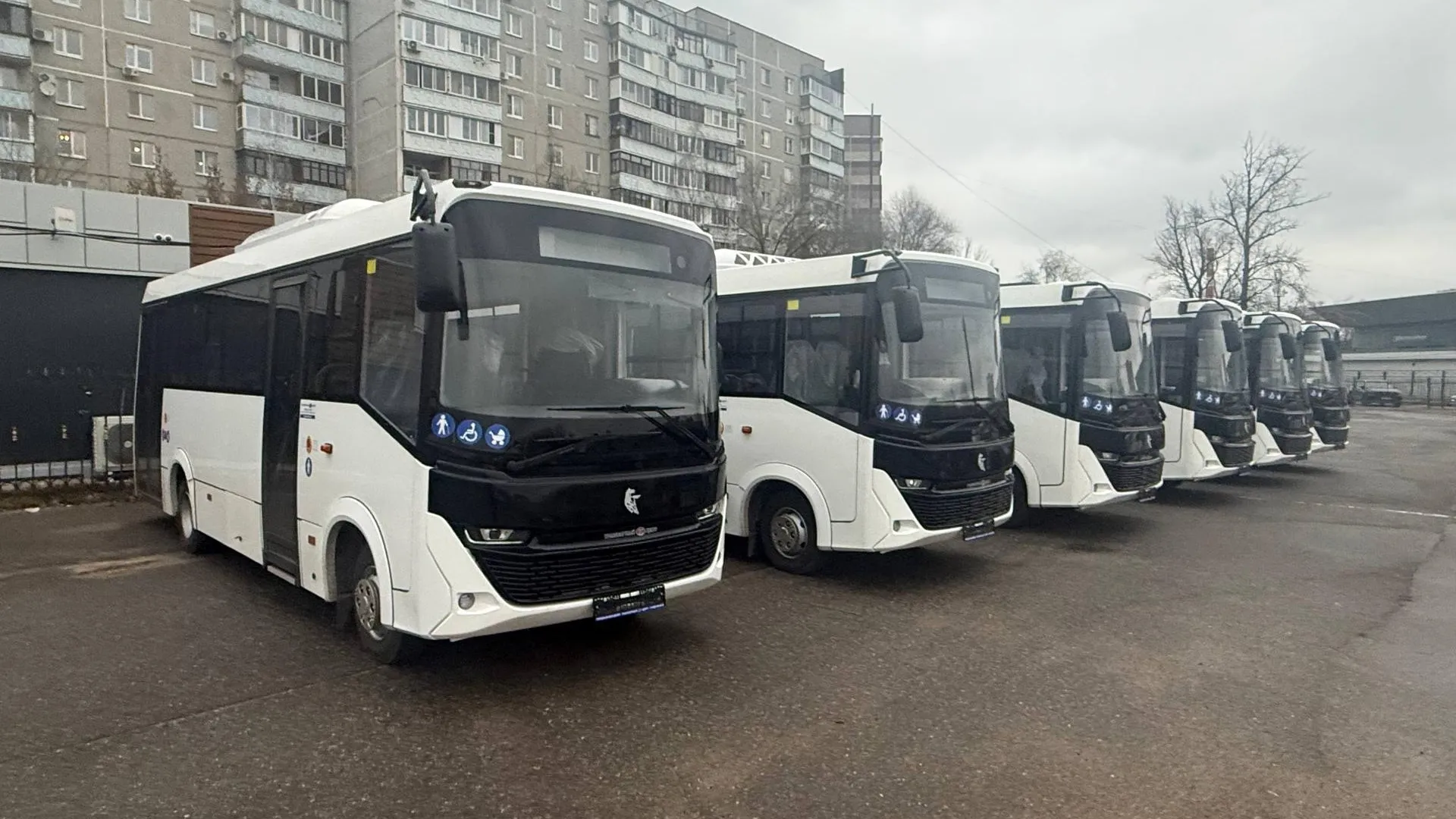 Фото: пресс-служба администрации Богородского городского округа