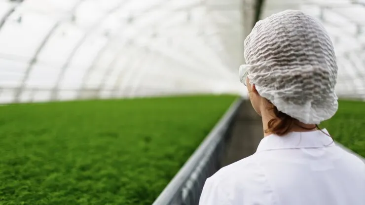 Фото: freepik.com