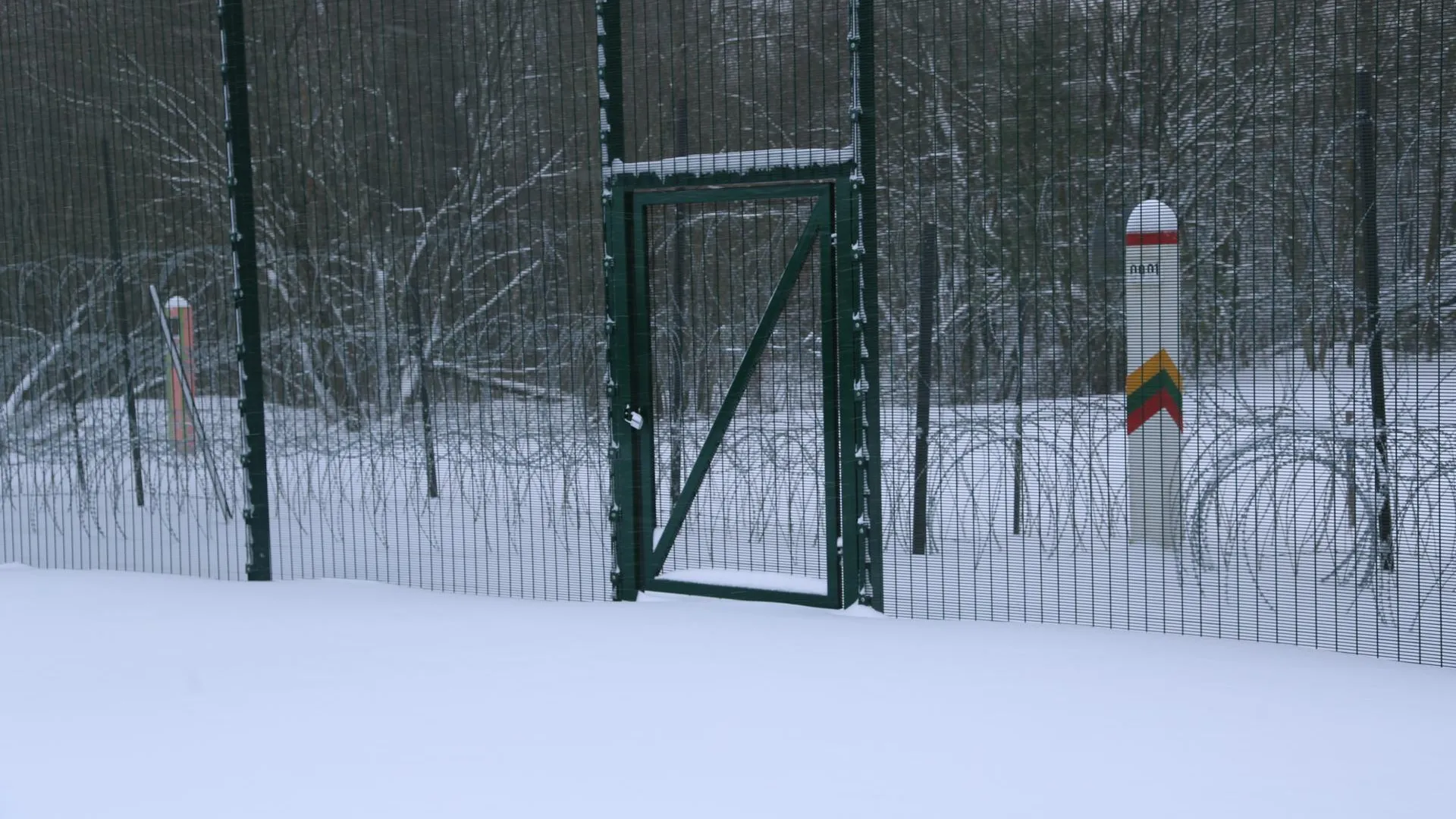 Alexander Welscher/dpa