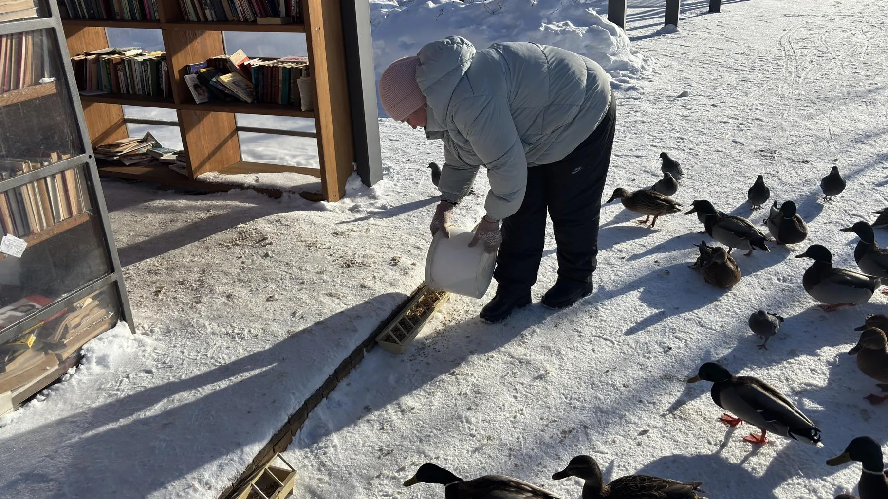 Анна Артюшина