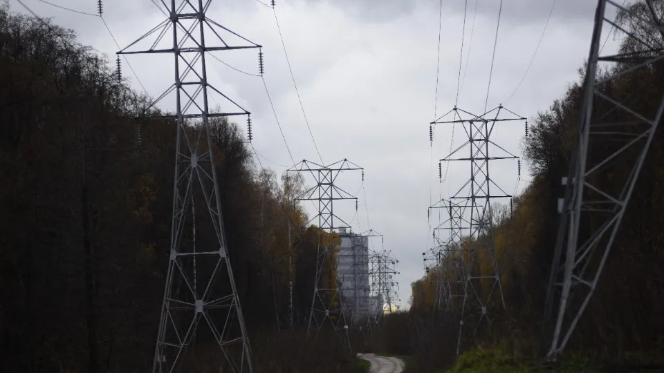 Фото: медиасток.рф