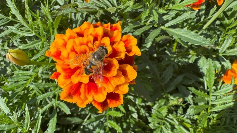 Фото: REGIONS/Илья Попов