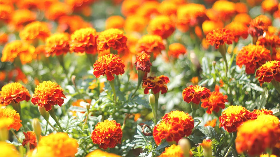 Фото: istockphoto.com