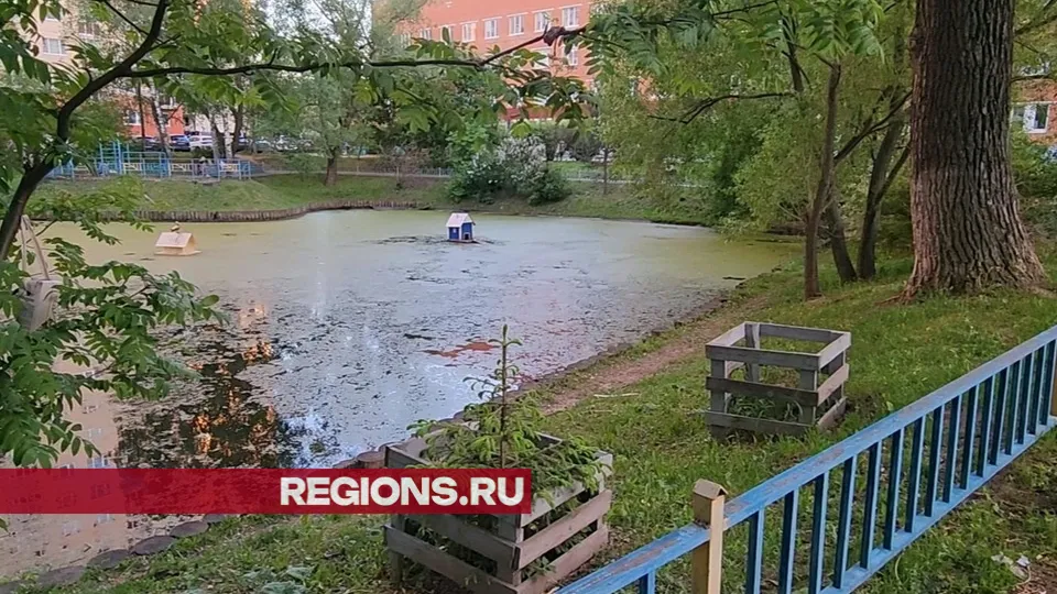 Фото: Никита Сморкалов