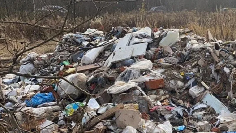 Фото: Министерство экологии и природопользования Московской области