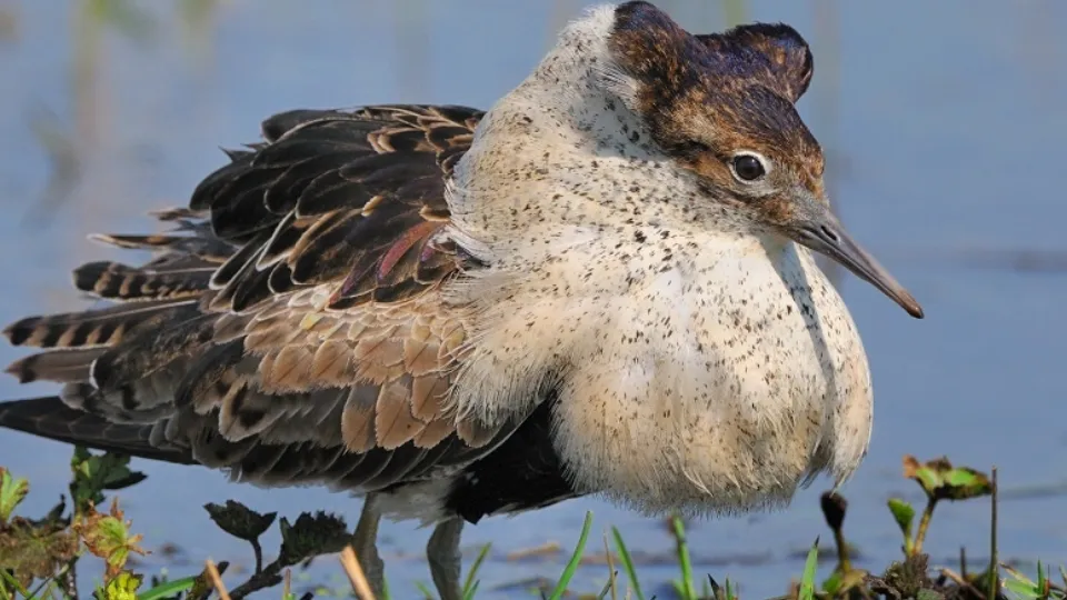 Фото: Минэкологии Московской области