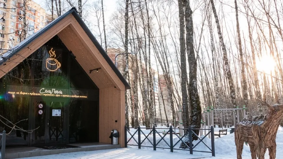 Фото: Парки г.о. Домодедово