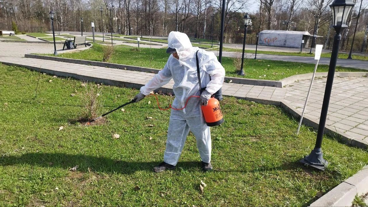 Фото: Министерство благоустройства Московской области