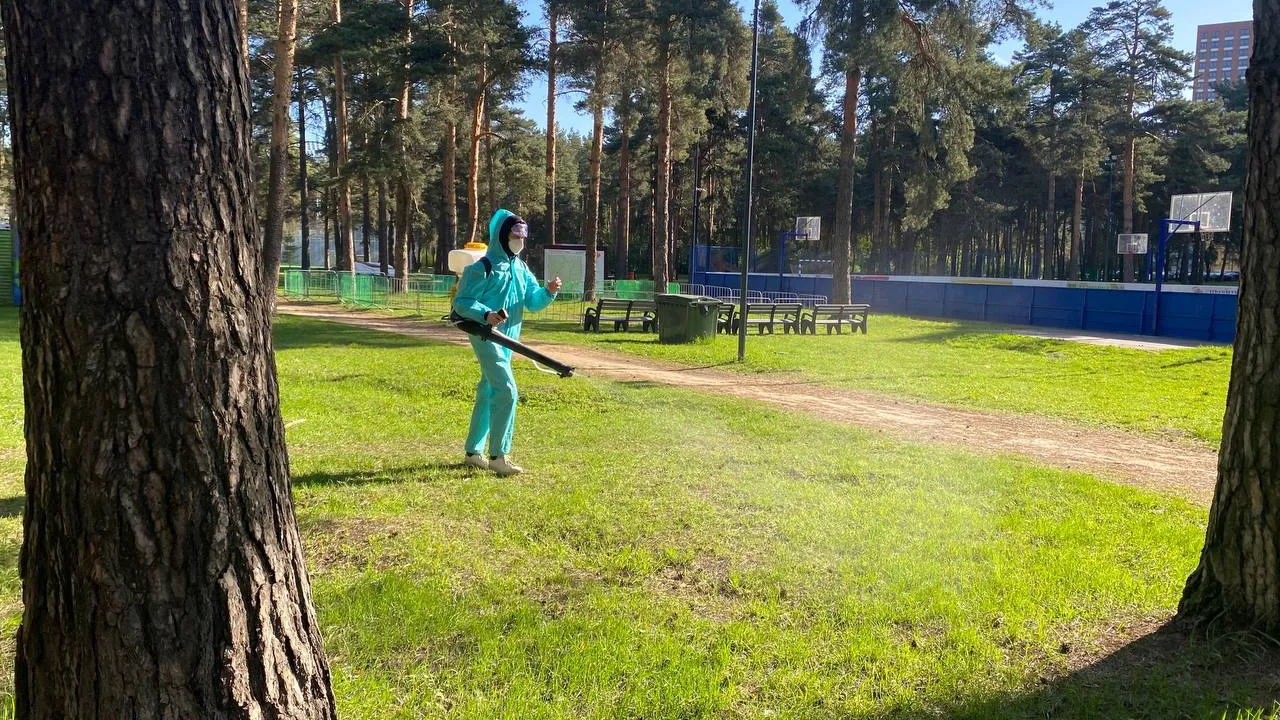 Фото: Кузьминский лесопарк