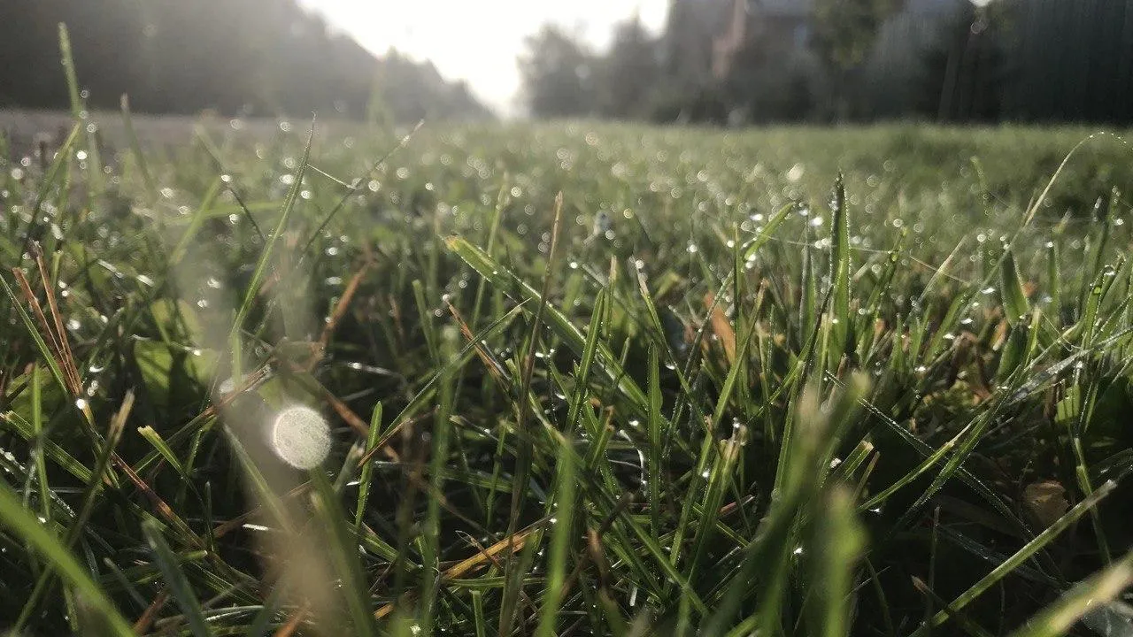 медиасток.рф