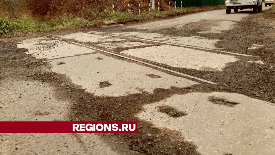 Фото: REGIONS/Василий Тремасов