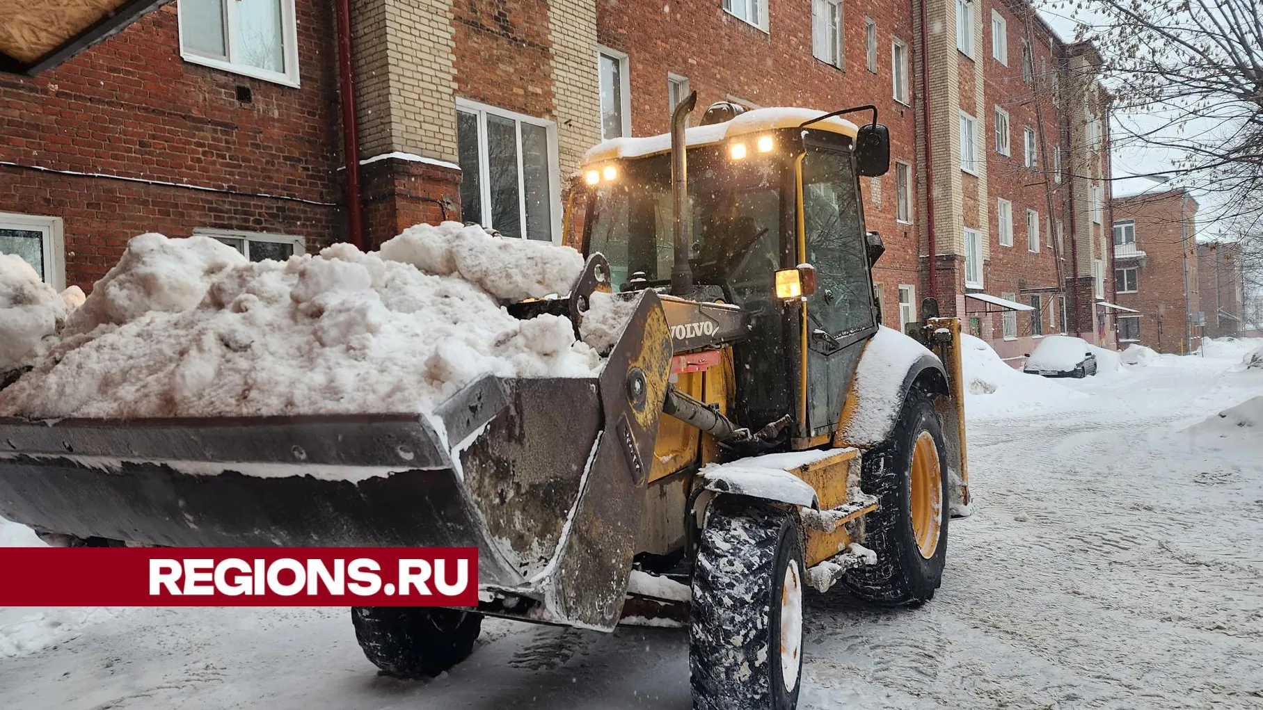 Источник: Алена Притула