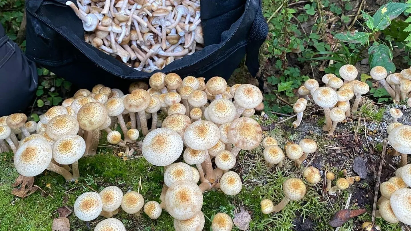 фото: соцсети