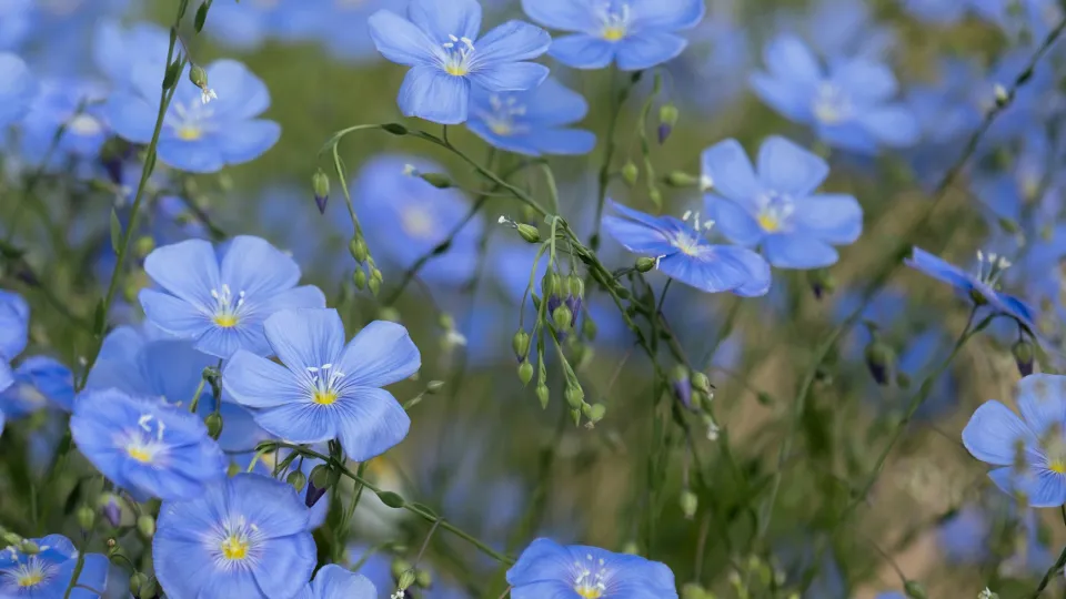 Фото: unsplash.com