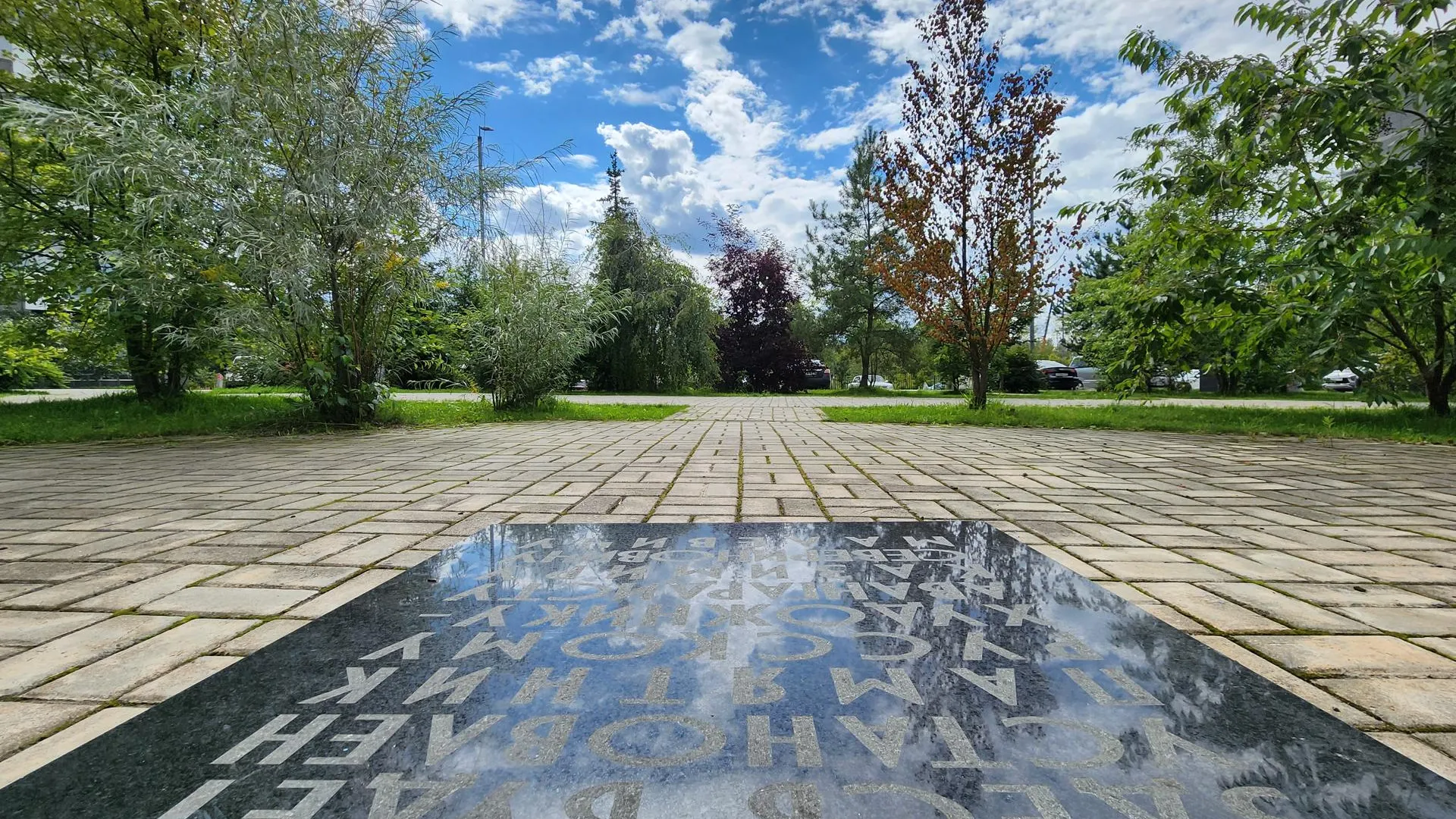 Сморкалов Никита