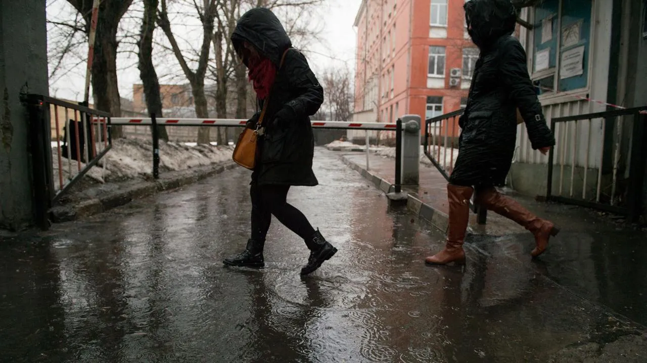 медиасток.рф