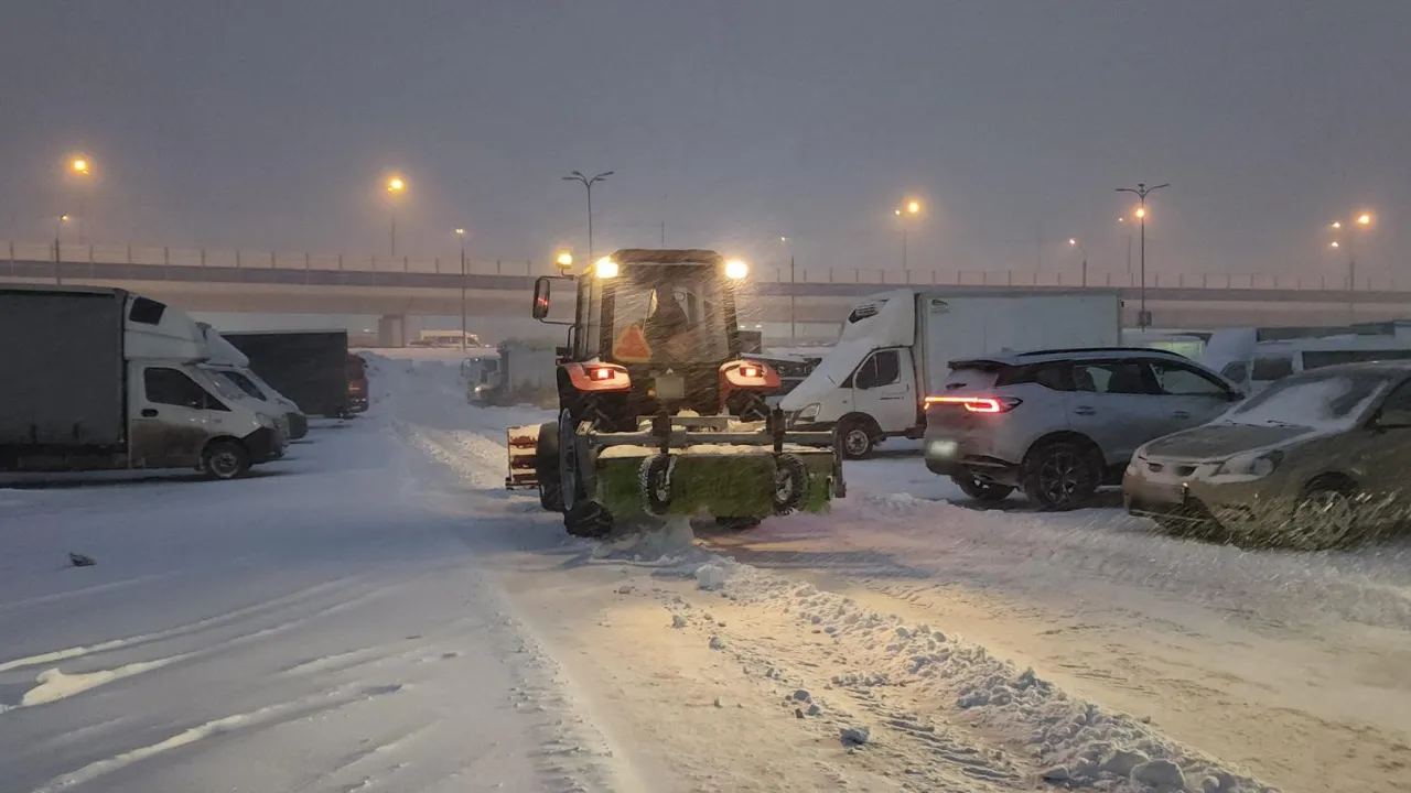 REGIONS/Мария Шигорева