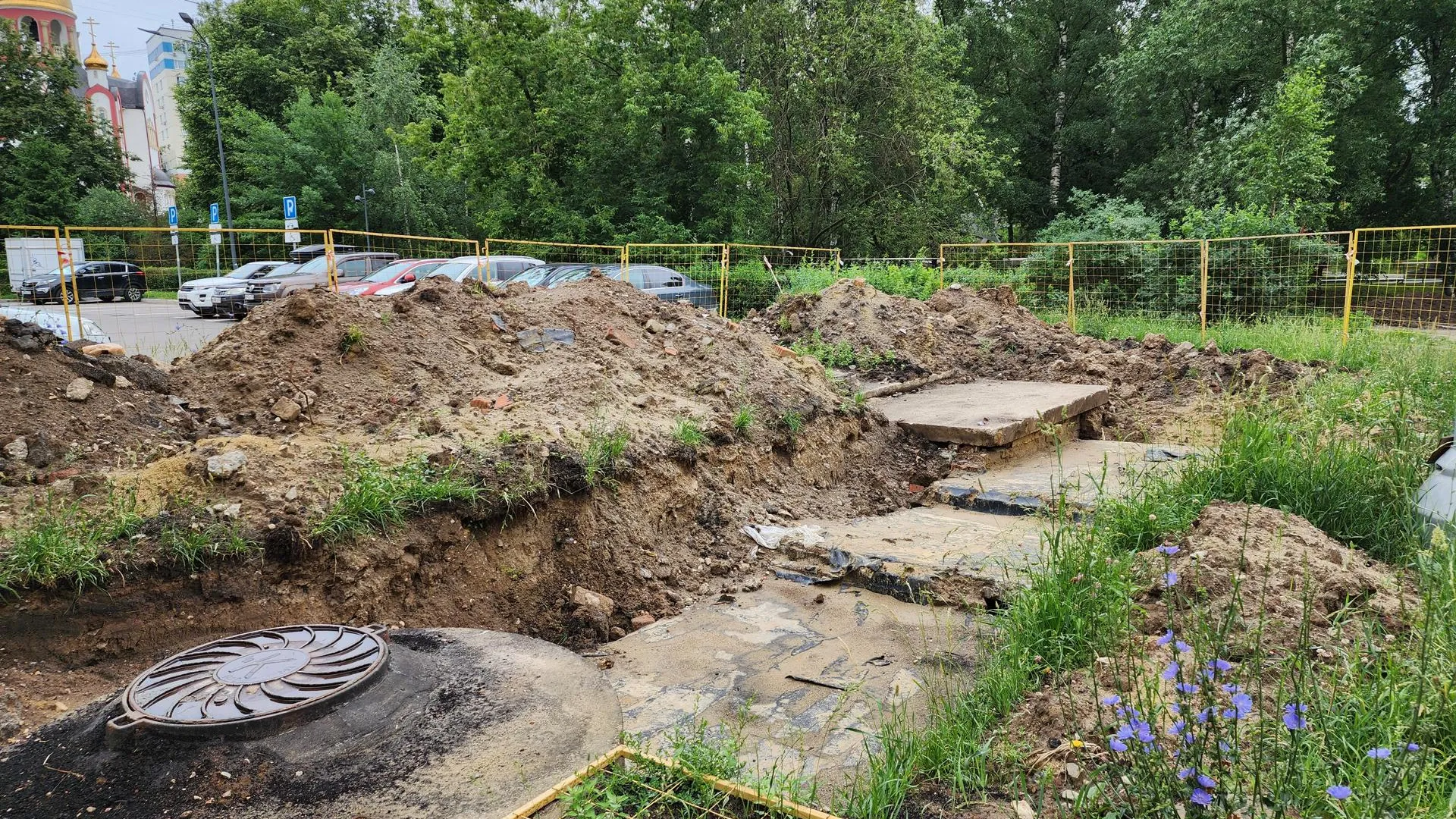 Фото: Мария Даньшина