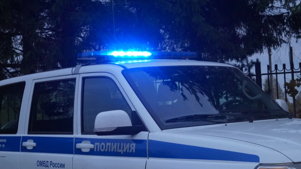 Фото: пресс-служба ОМВД России по Подмосковью