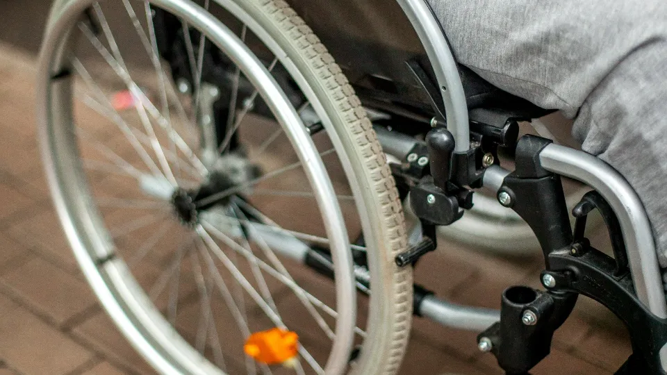 Фото: пресс-служба администрации г.о. Химки