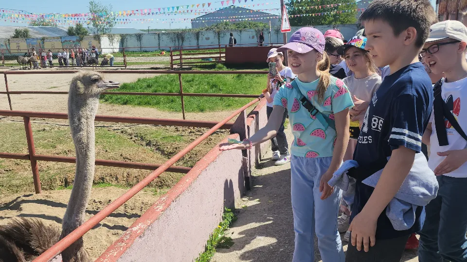 Фото: МедиаБанк Подмосковья/Александр Степушкин