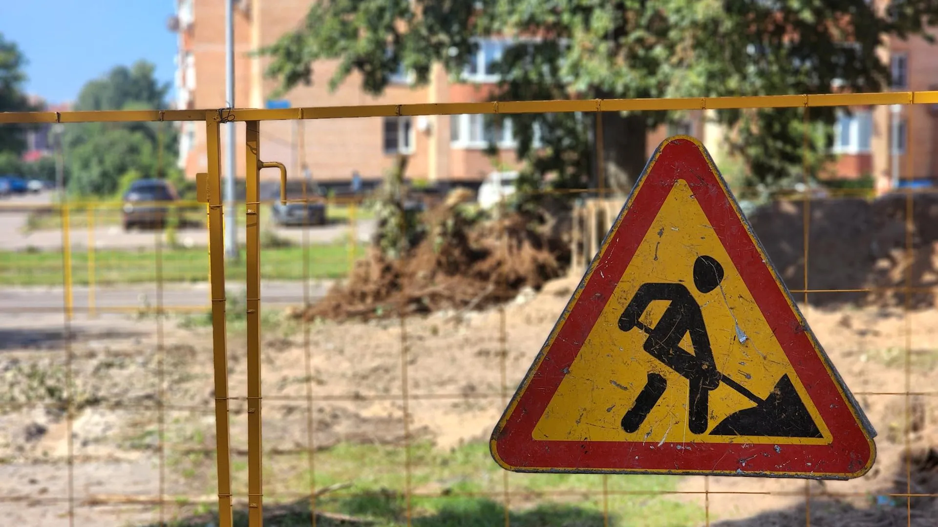 Фото: Полина Пахомова