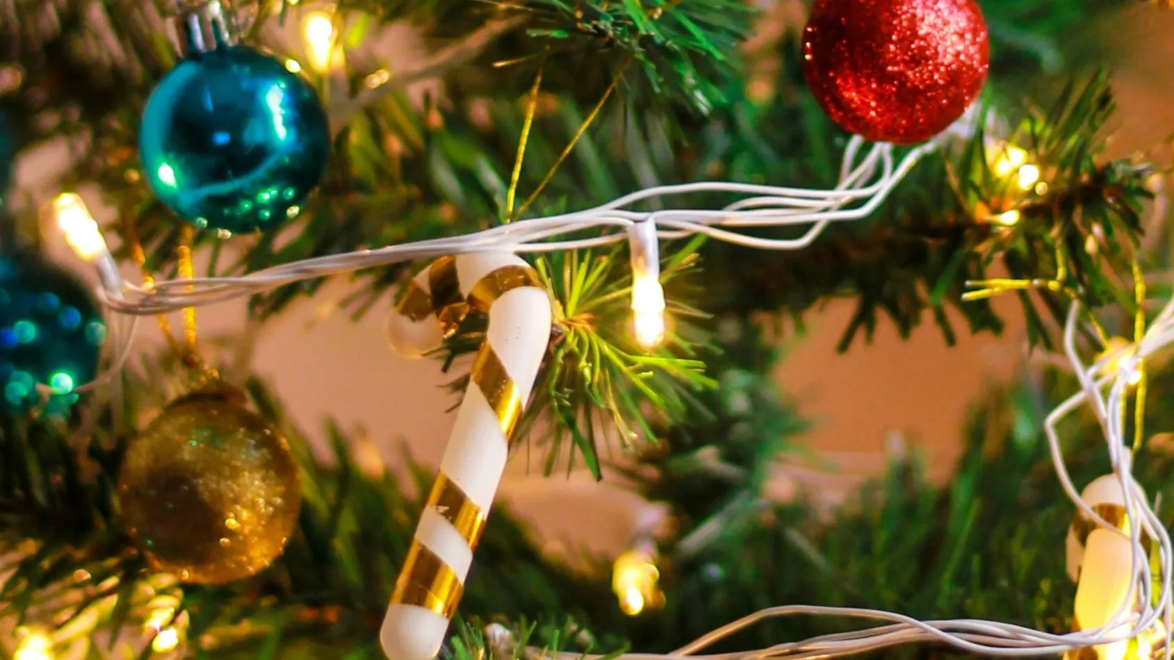 Фото: unsplash.com