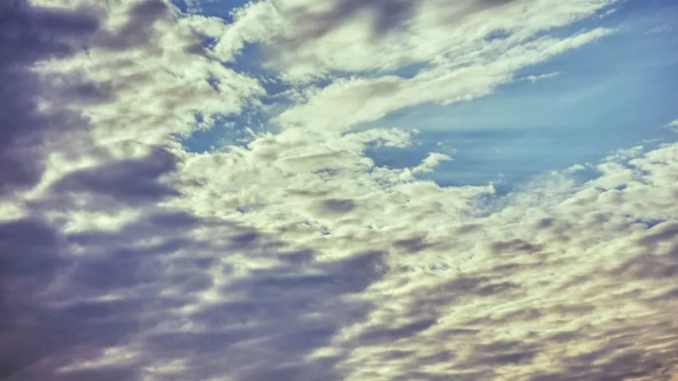 Фото: REGIONS/Владимир Ерастов