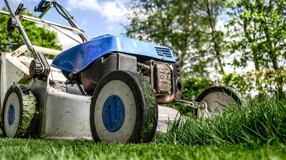 Фото: pxhere.com