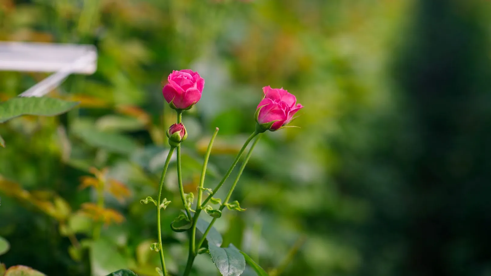 медиасток.рф