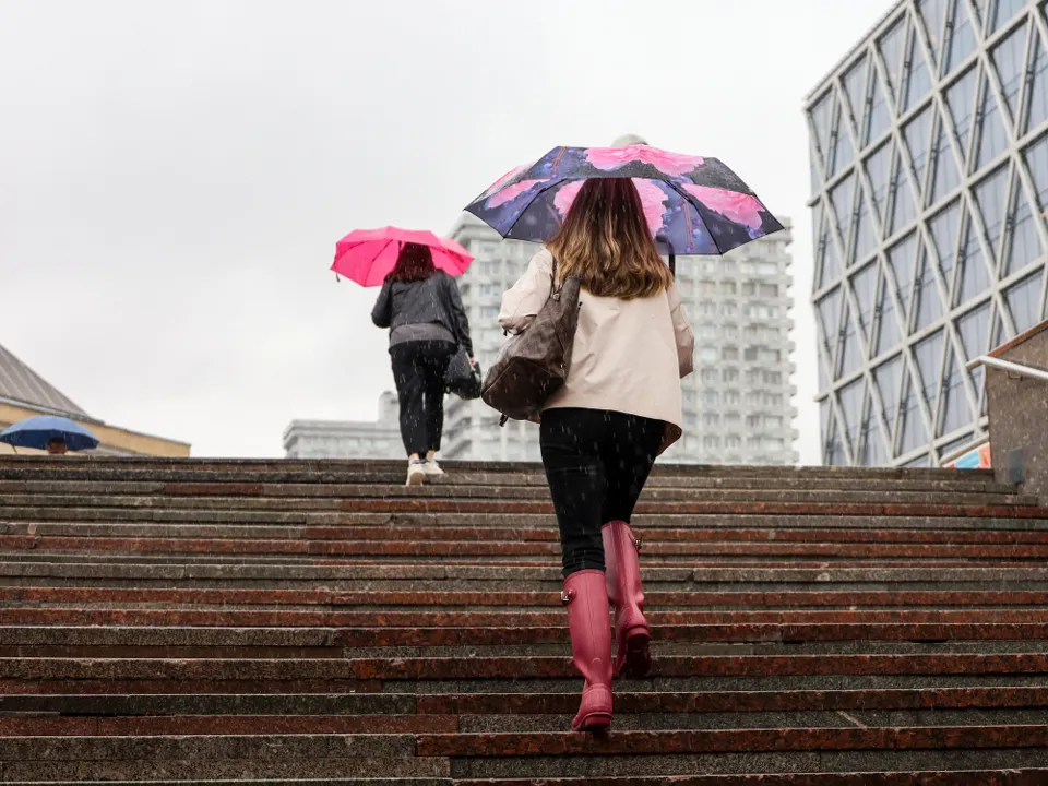 Фото: istockphoto.com/Oleg Elkov
