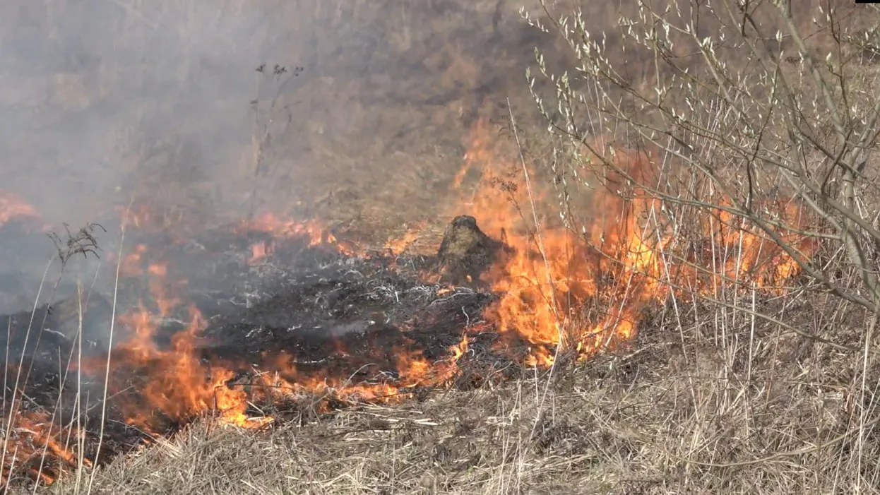 Фото: Наталия Надточая