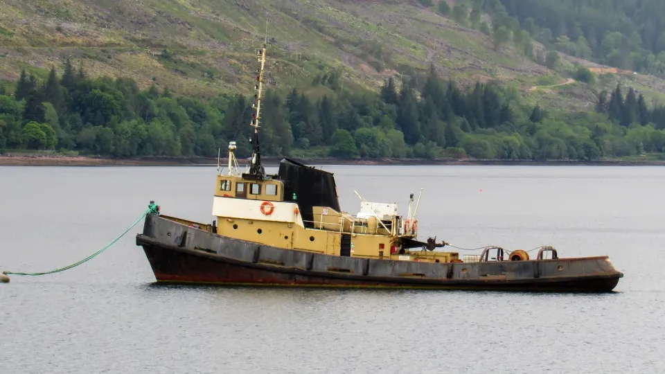 Фото: freepik.com