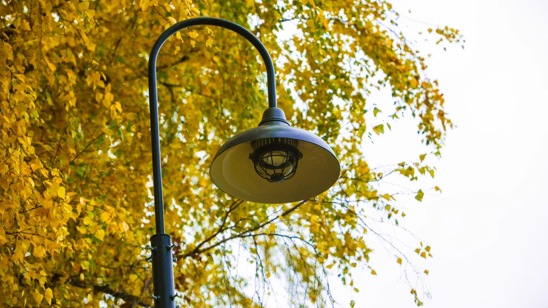 Министерство благоустройства Московской области