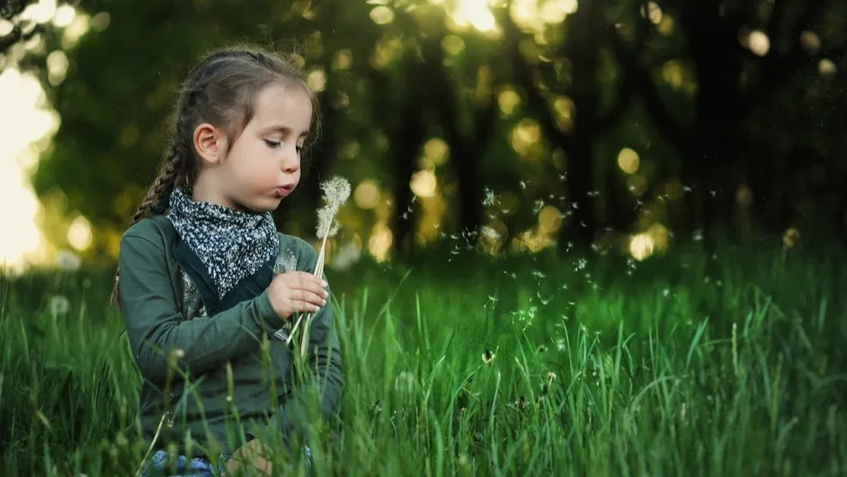 Фото: pxhere.com