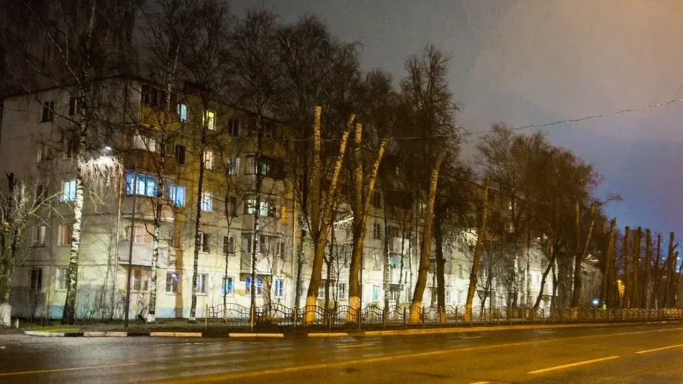 Фото: Министерство благоустройства Московской области