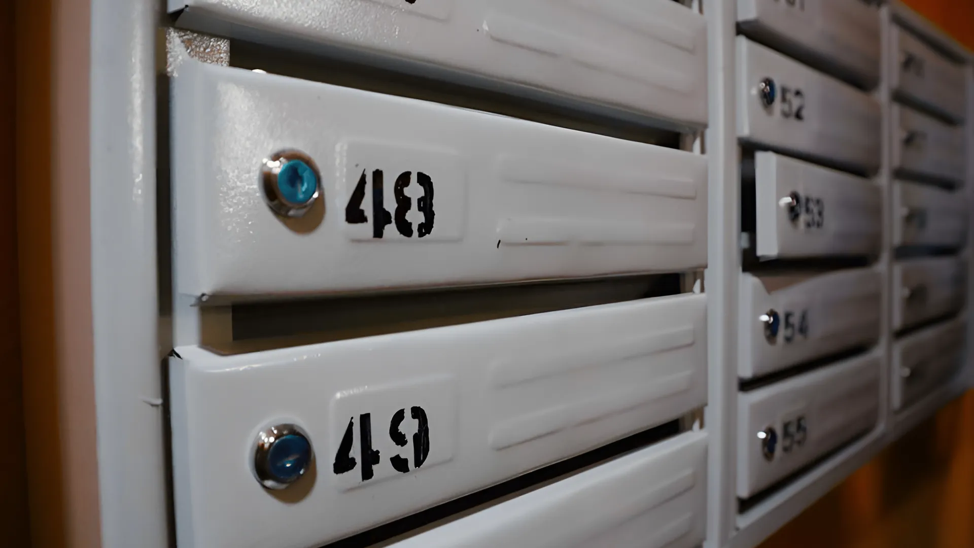 Фото: пресс-служба администрации Серпухова