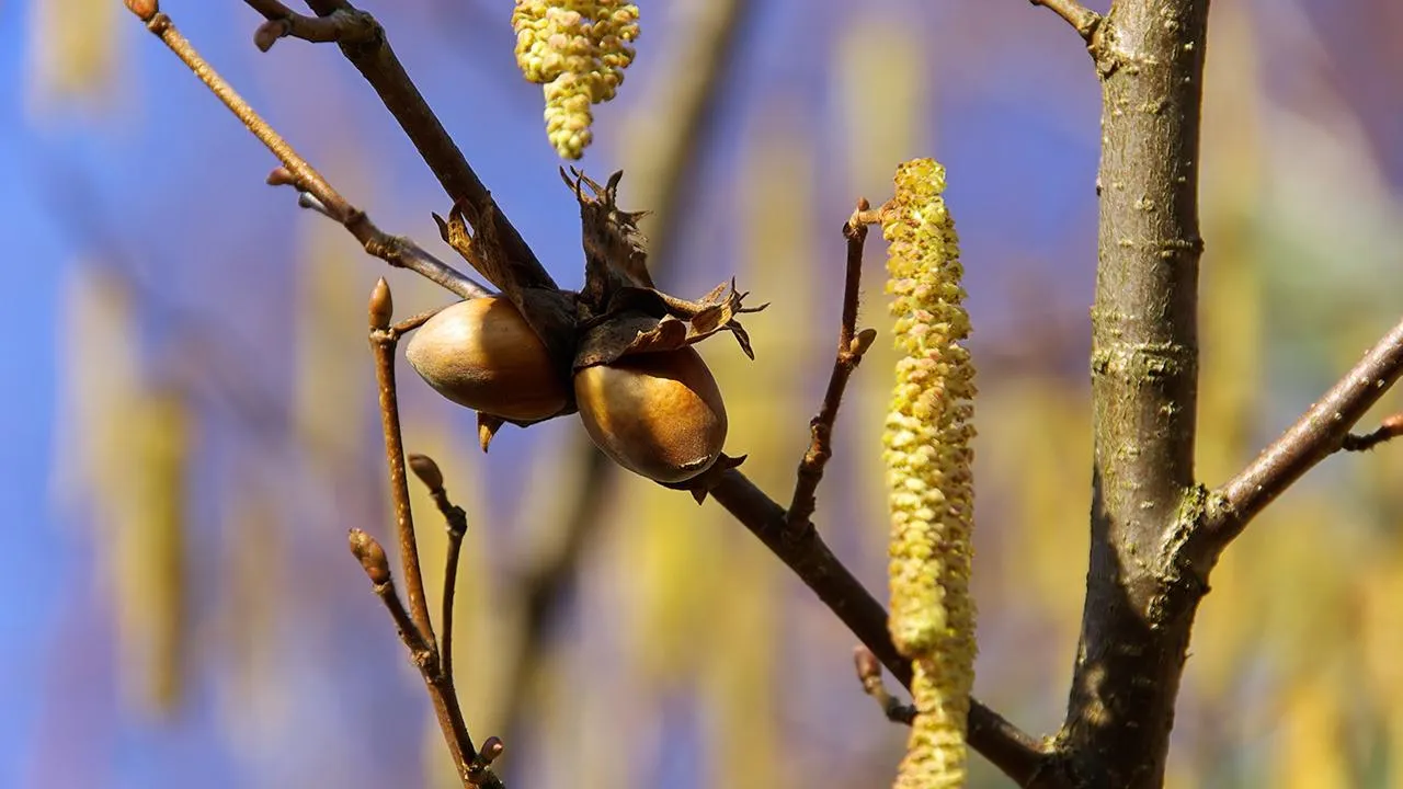 istockphoto.com/LianeM