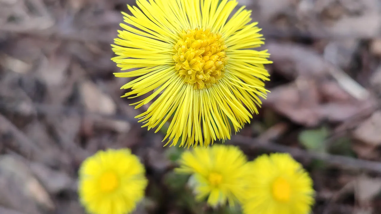 Фото: freepik.com