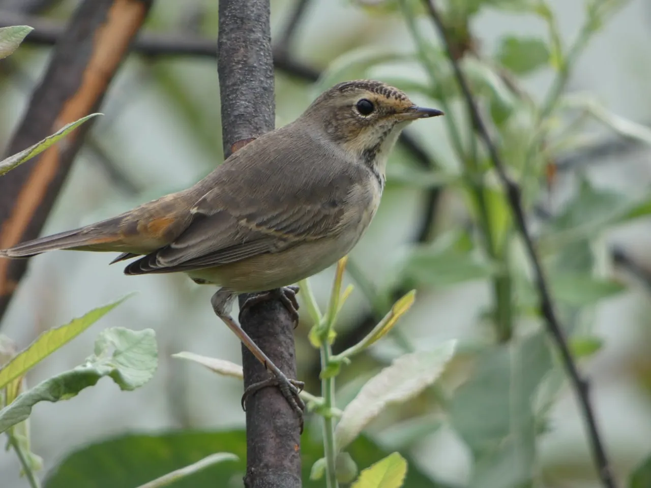 Фото: Иван Федулов