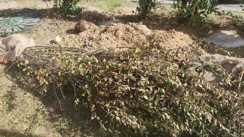 Фото: МедиаБанк Подмосковья/Ксения Казакова