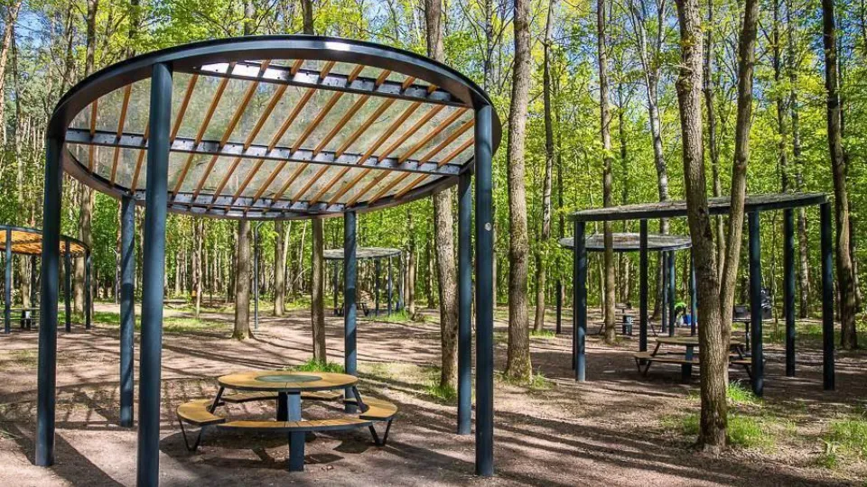 Фото: Пресс-служба администрации Одинцовского городского округа