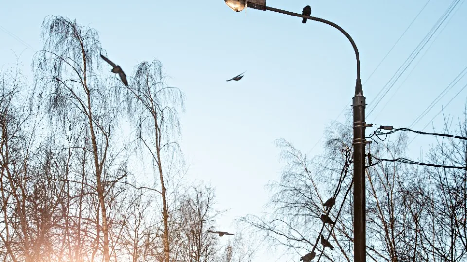 Фото: медиасток.рф