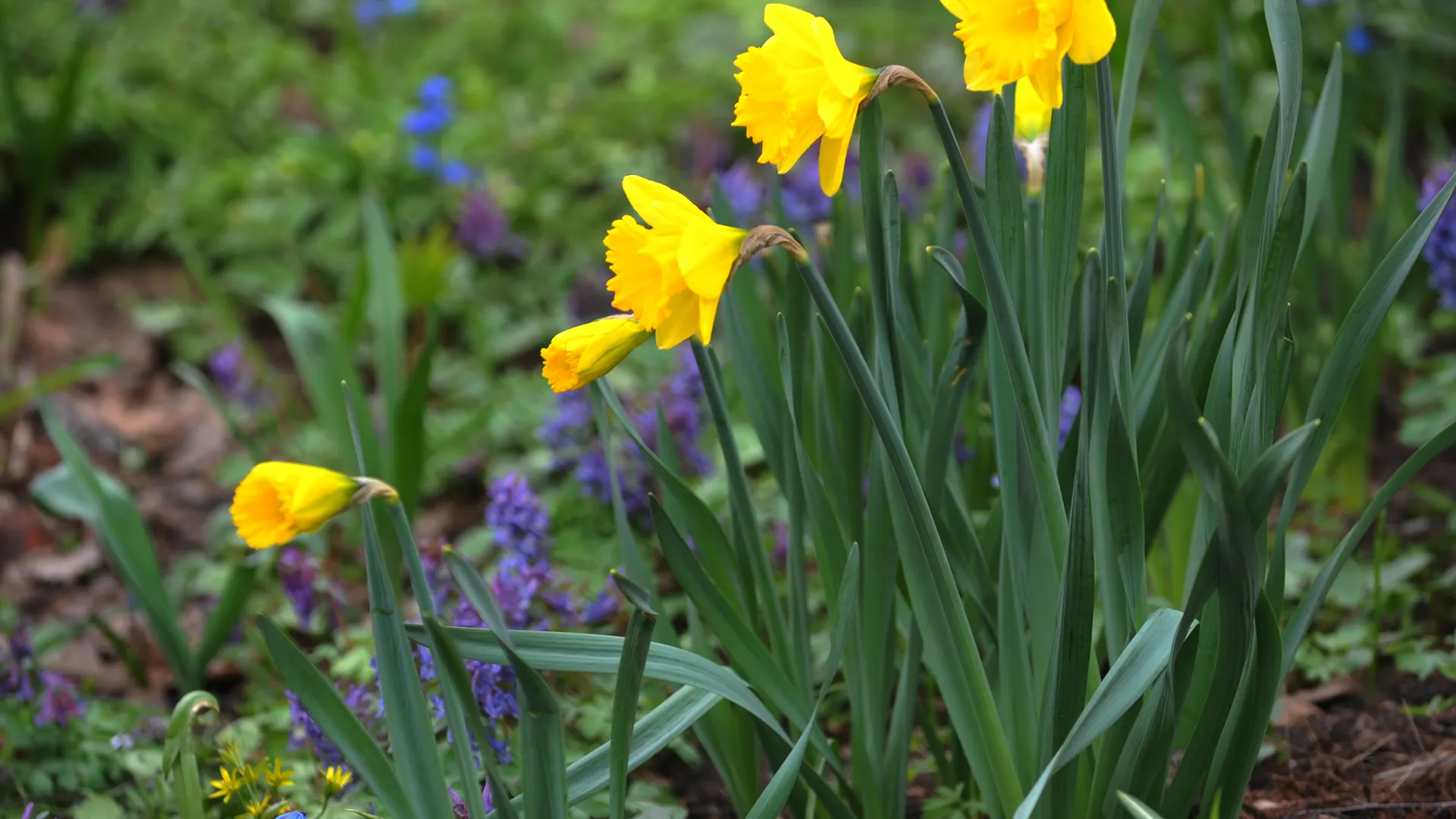 медиасток.рф